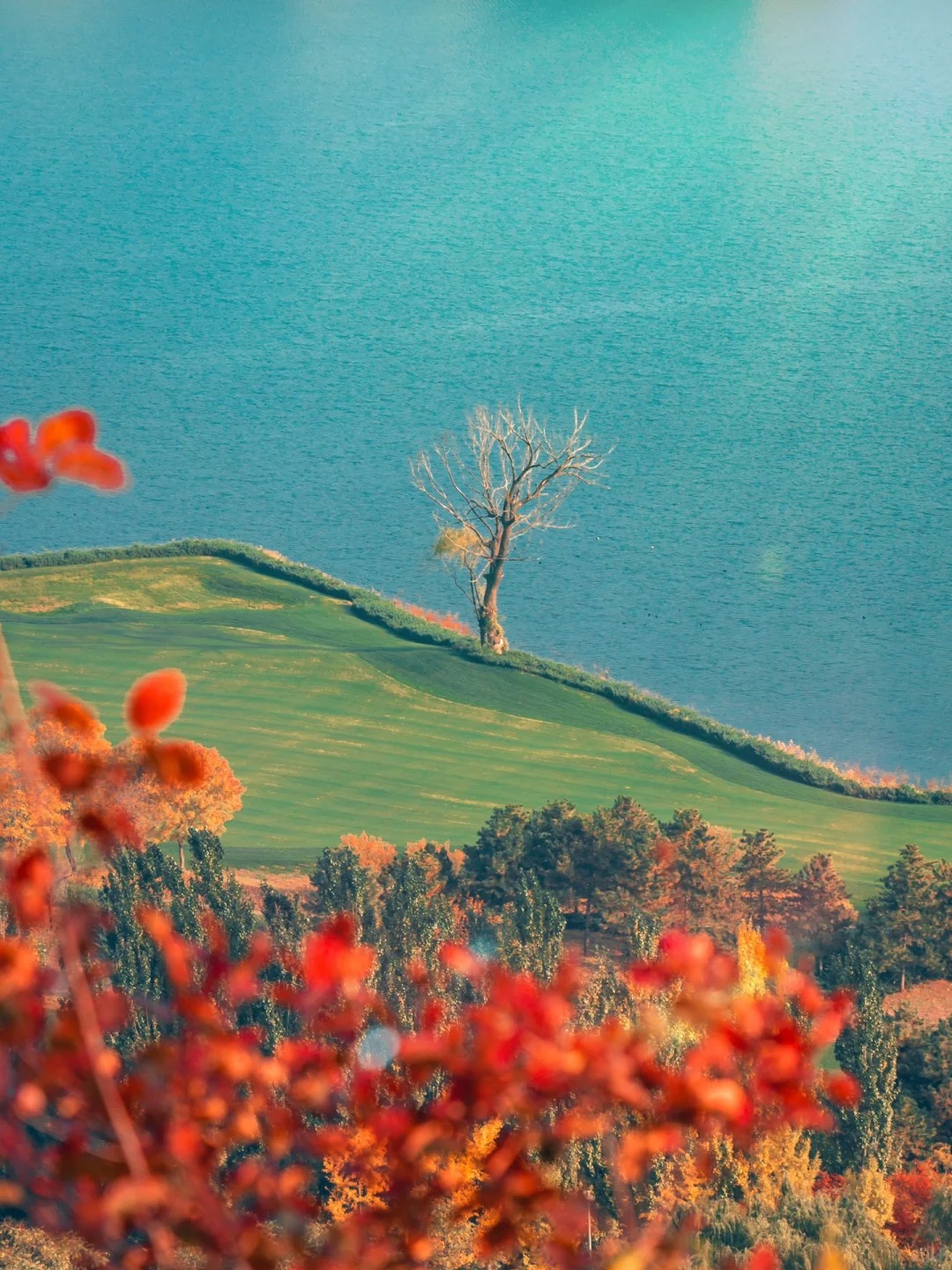 为这片色彩，值得走一趟雁栖湖⛰️北平秋天❽_2_怪脾气的周一叔叔_北京郊区-来自52tours 我爱旅游网